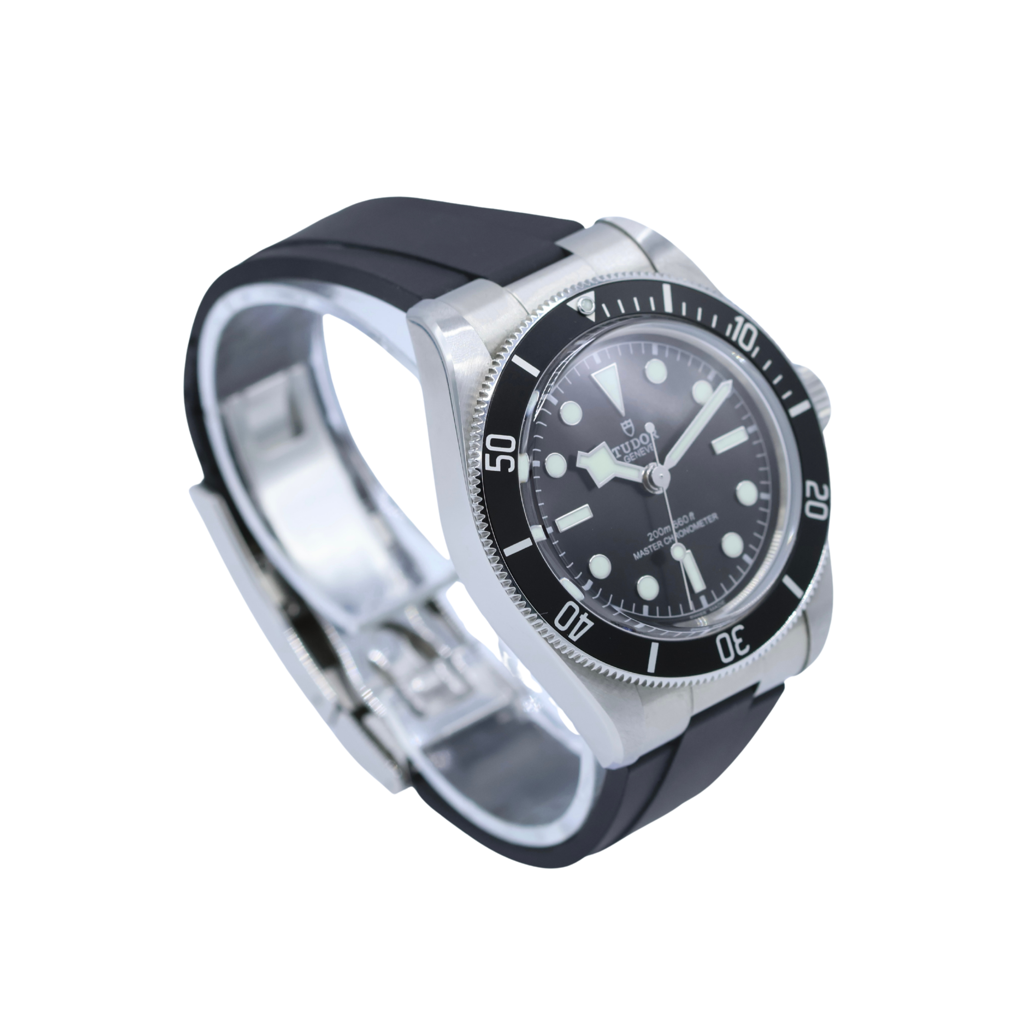 Tudor Black Bay Monochrome
