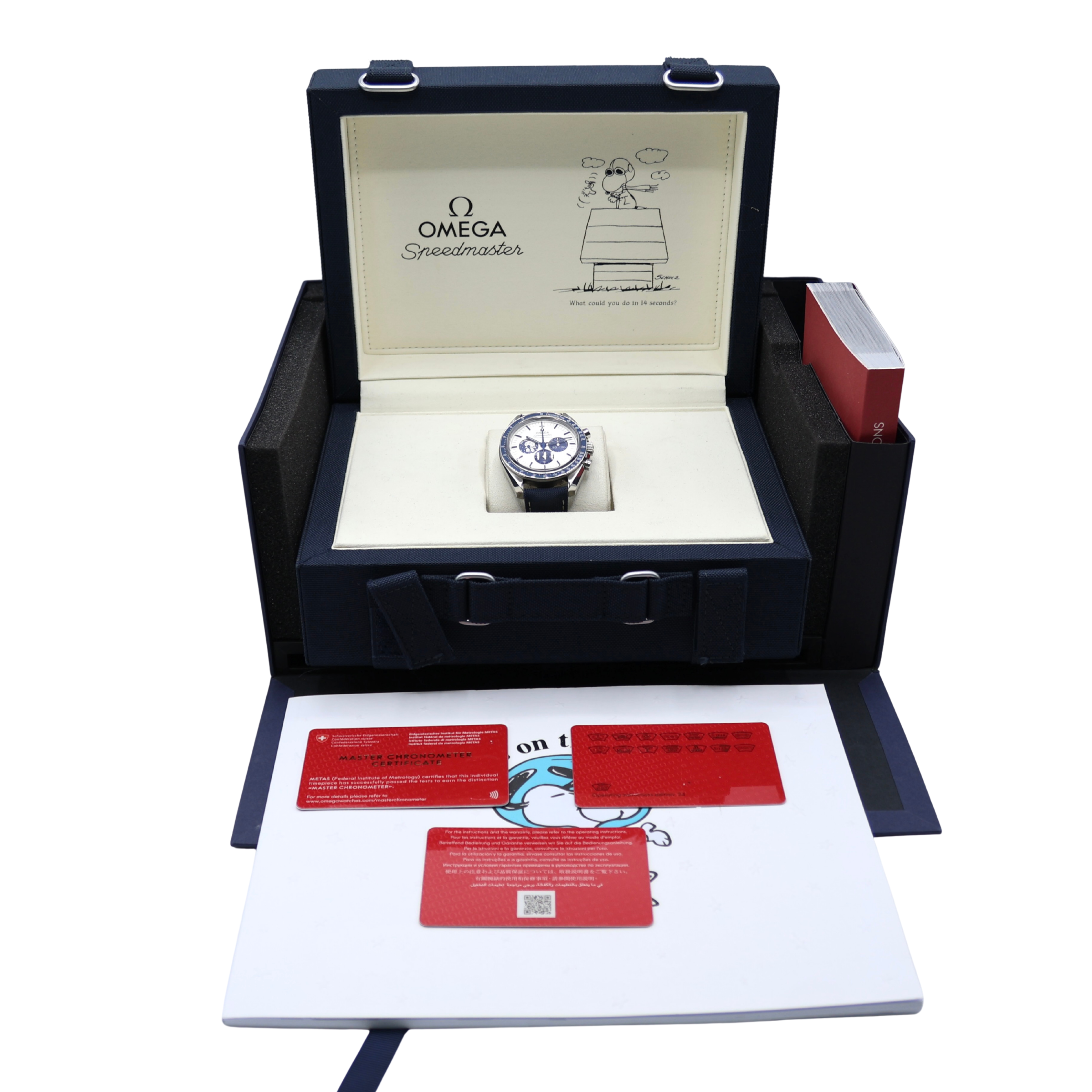 Omega Speedmaster 'Silver Snoopy'