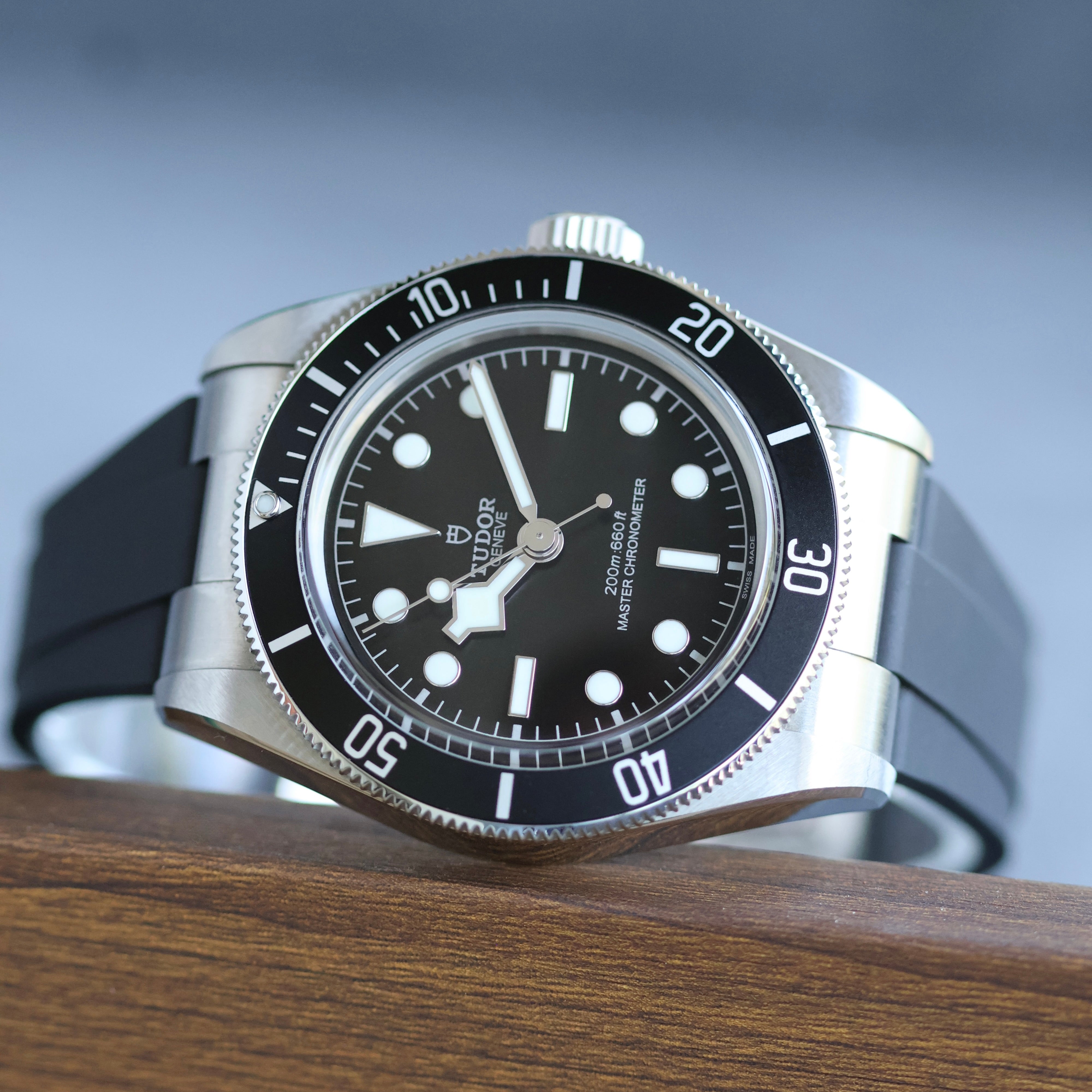 Tudor Black Bay Monochrome